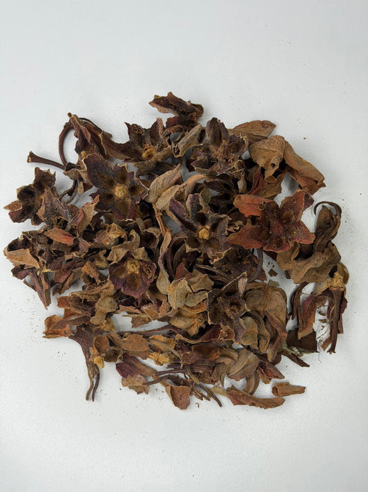 Dried flor de manita flowers, Chiranthodendron pentadactylon, the devil's hand flower, for tea