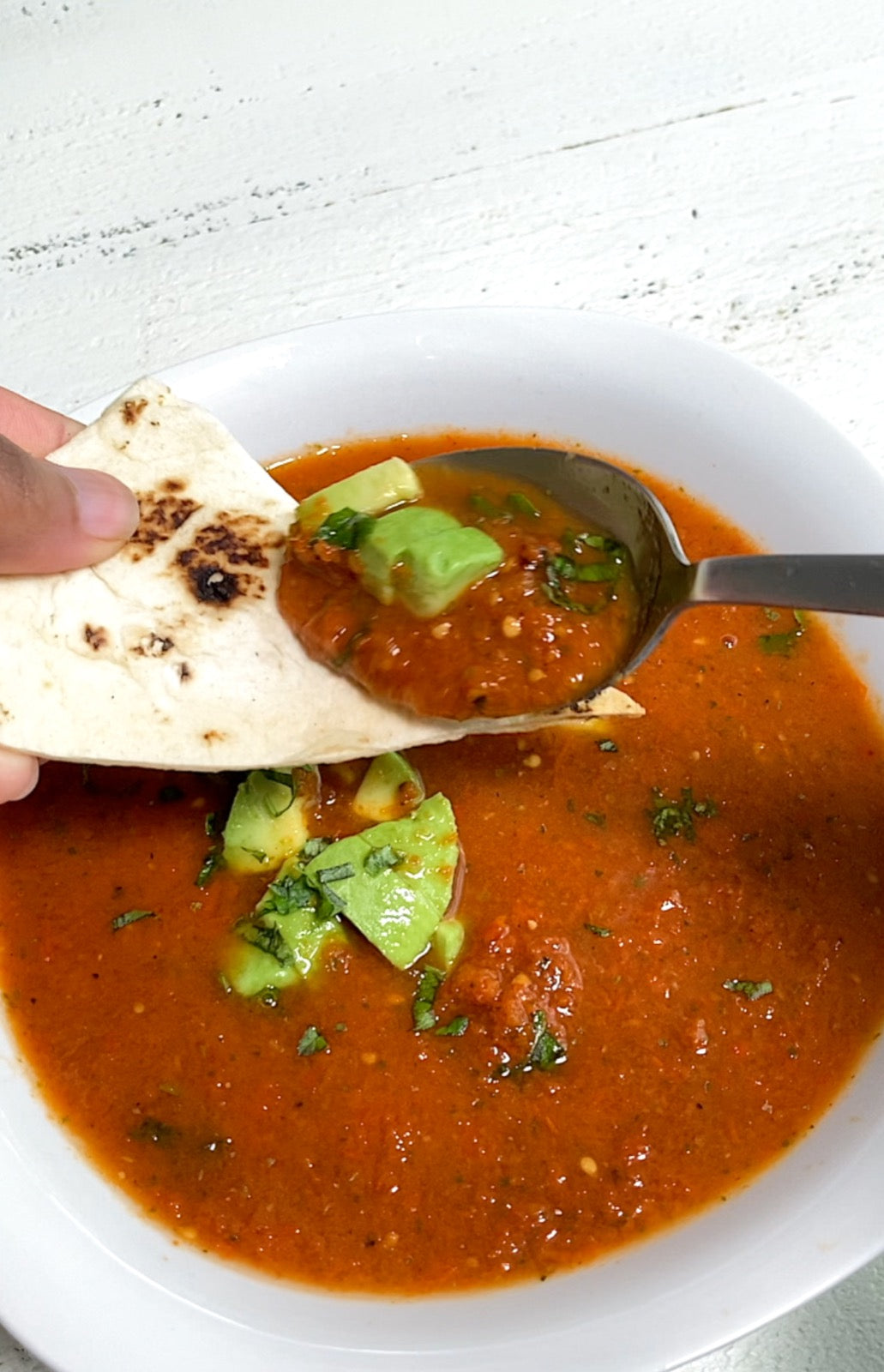 Tortilla Soup – Alkaline Herb Shop