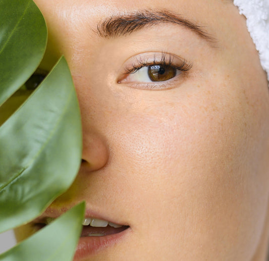 sea moss for skin