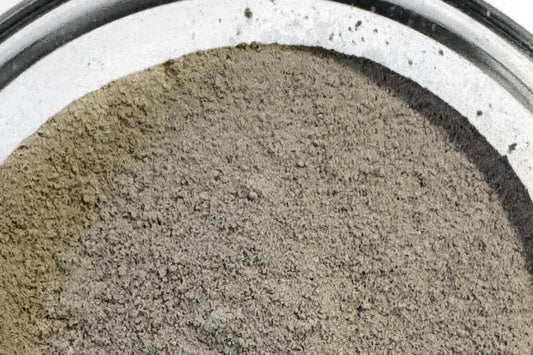 Wildcrafted Irish sea moss powder, finely milled Chondrus crispus, in a glass dish