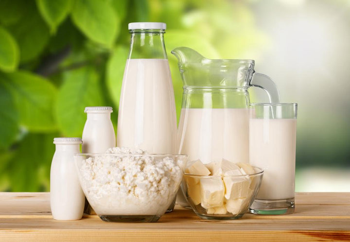 The Surprising Link Between Dairy and Osteoporosis: How Drinking Milk May Increase Bone Fracture Risk