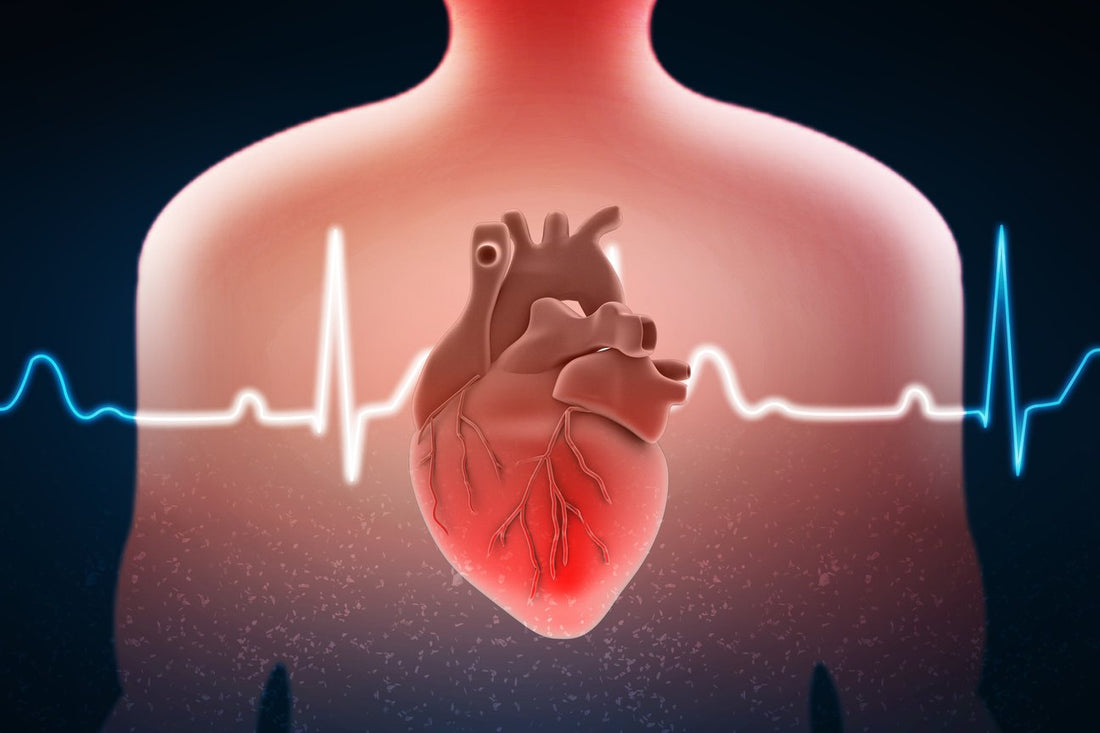 A Plant Based Diet Improves Heart Health