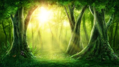 Forest Bathing: Nature's Prescription for Health... Lowers Blood Pressure, Aids With Depression, Decreases Stress and More