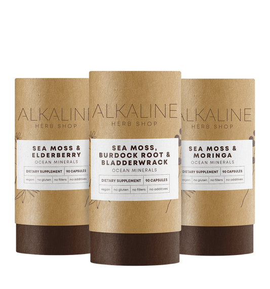 Sea Moss Best Sellers Bundle - Sea Moss, Burdock Root & Bladderwrack Supplement, Sea Moss & Elderberry Supplement, and Sea Moss & Moringa Supplement