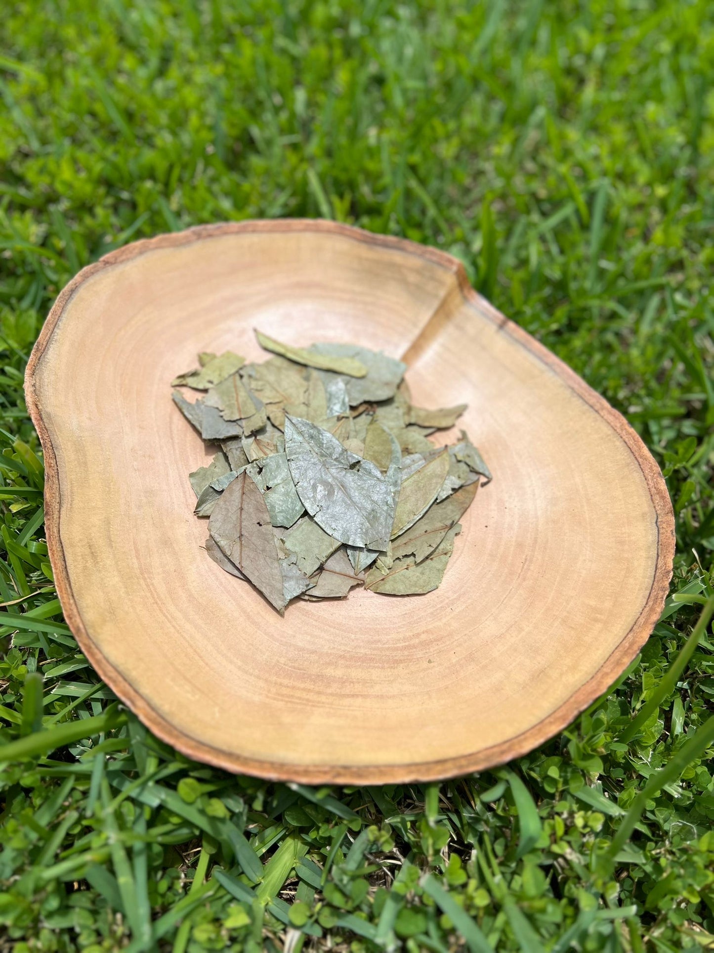 Just Herbs: Soursop Leaves