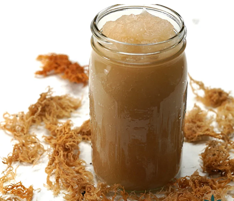 Raw Sea Moss Gold