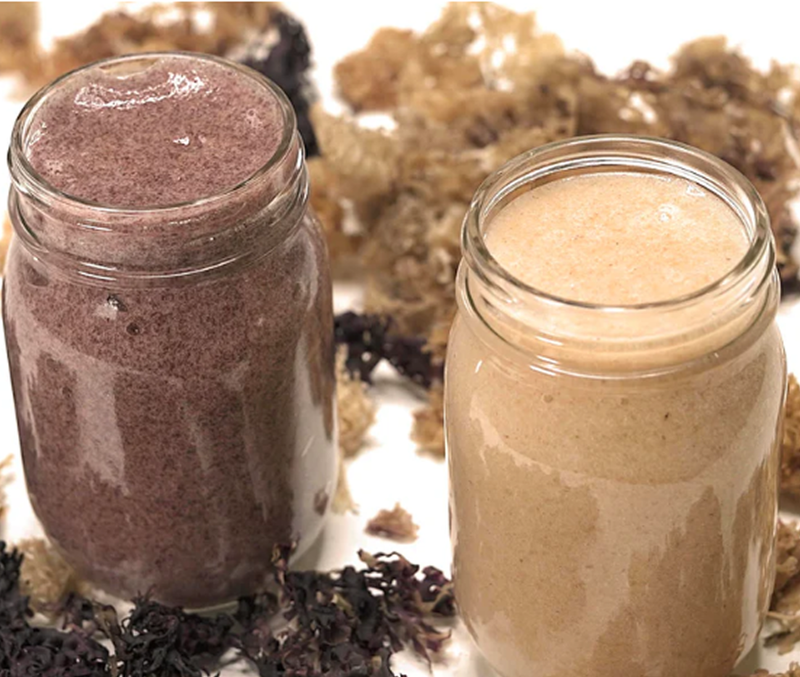 Raw Chondrus Crispus Sea Moss