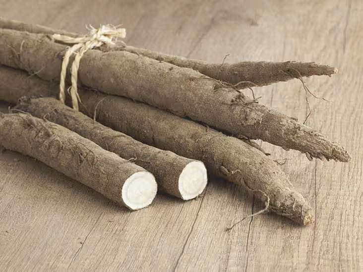 Dried burdock root, Arctium lappa, ready to brew as tea