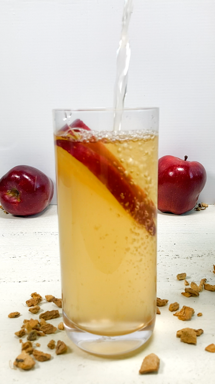 Apple Ginger Herbal Mocktail
