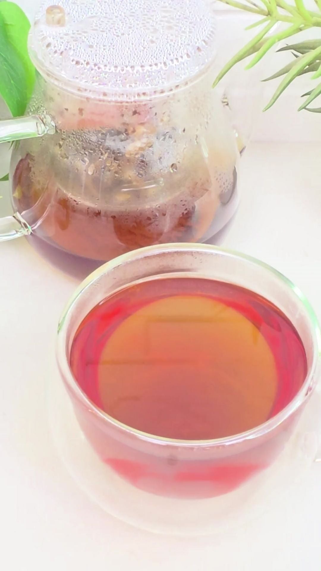 Palo Azul & Burdock Root Tea