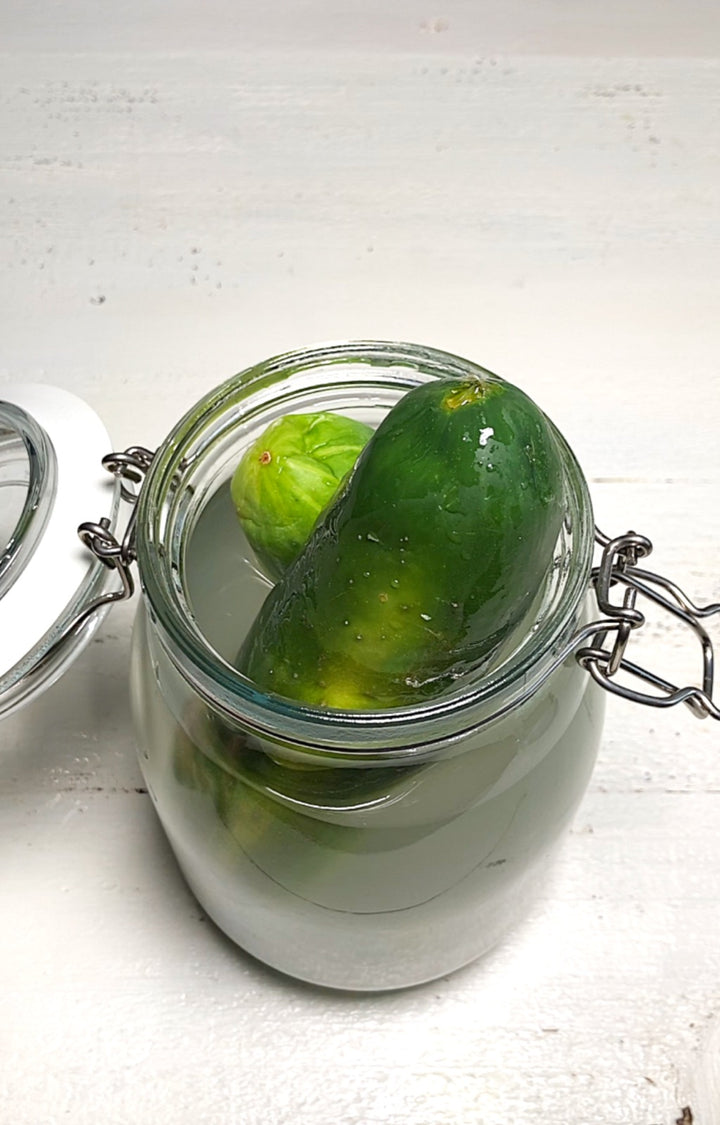 Homemade Alkaline Pickled Cucumbers