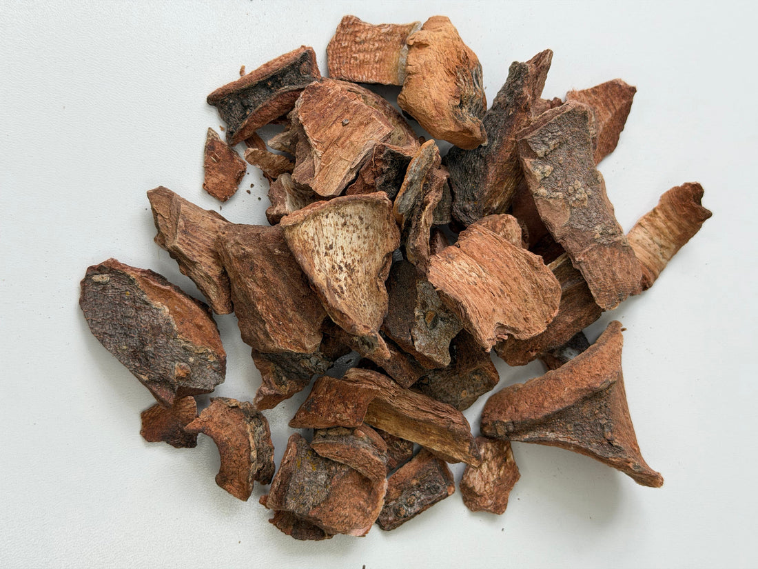 Dried cuachalalate bark, real bark pieces