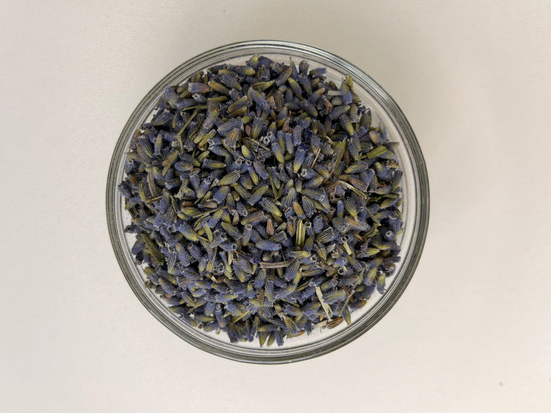 Whole dried culinary lavender flowers, lavanda, for tea