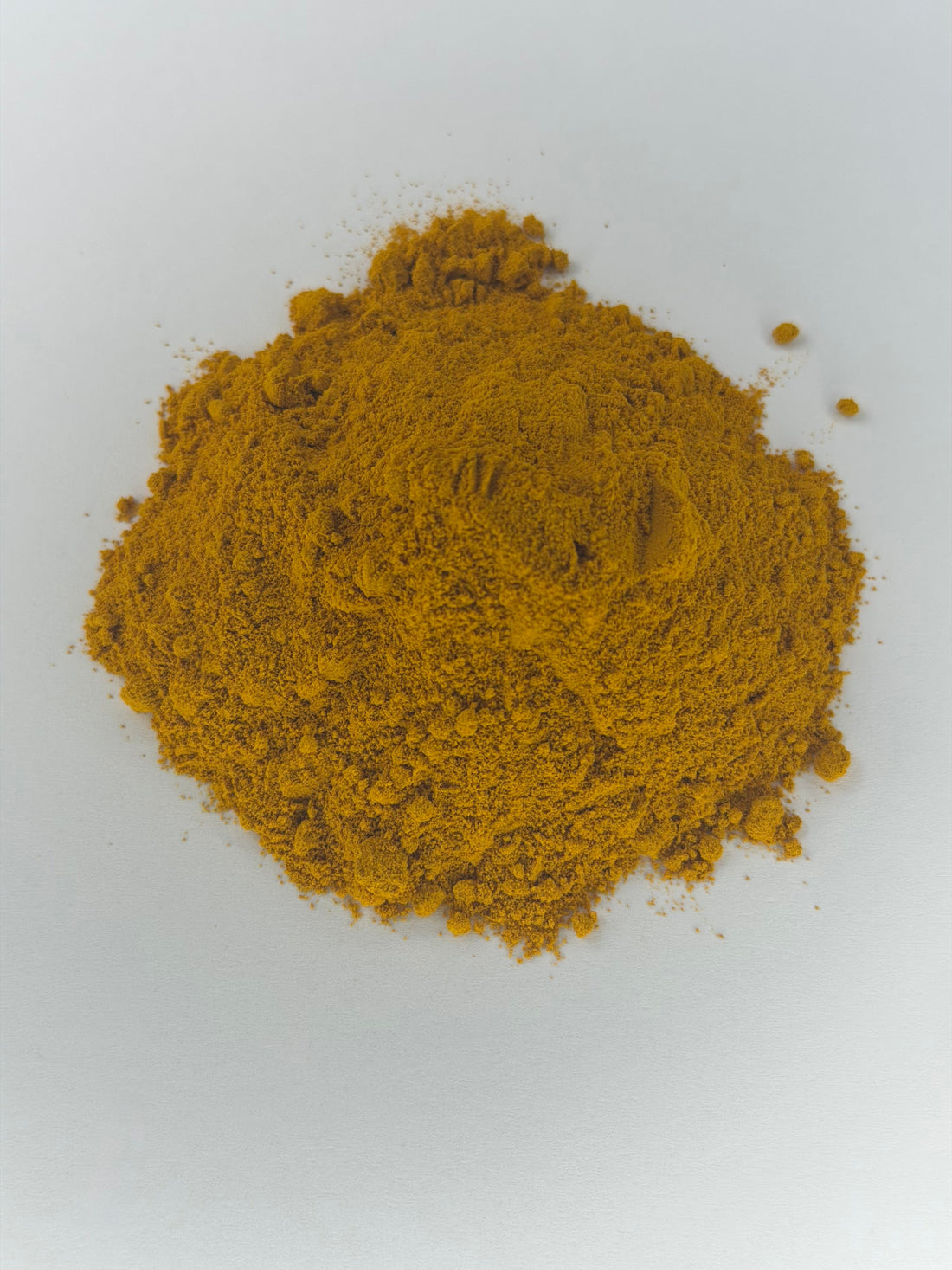 Cúrcuma molida, Curcuma longa, para leche dorada y té de cúrcuma