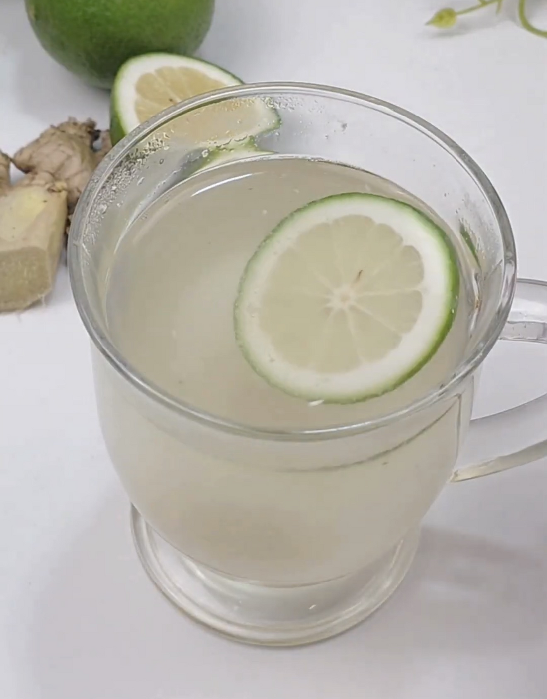 Sea Moss Tea Recipe