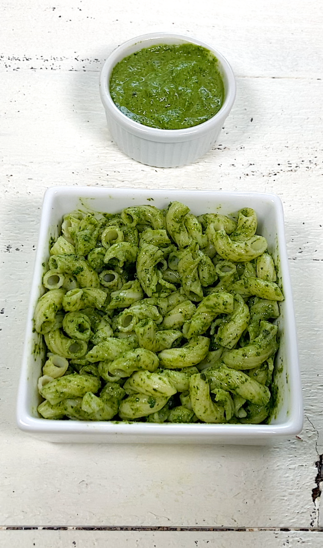 Alkaline Basil Cilantro Pesto