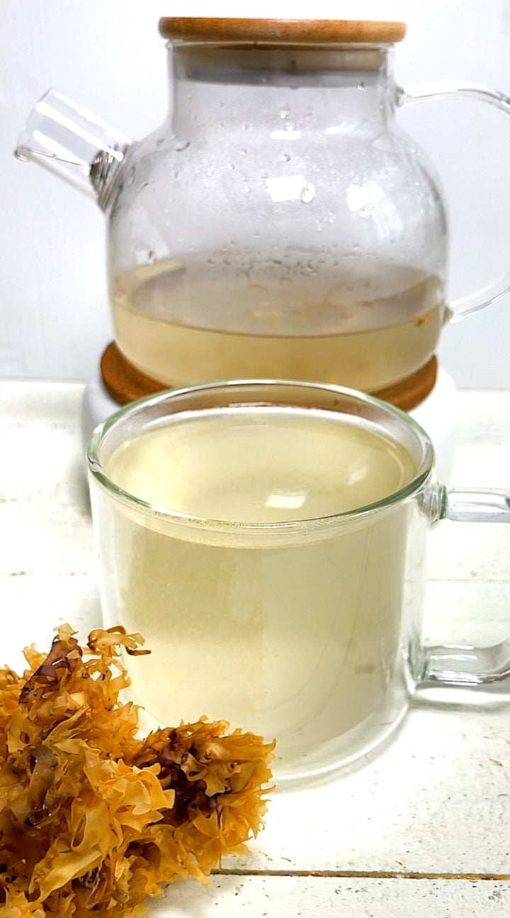 Here Is Why You Need Sea Moss