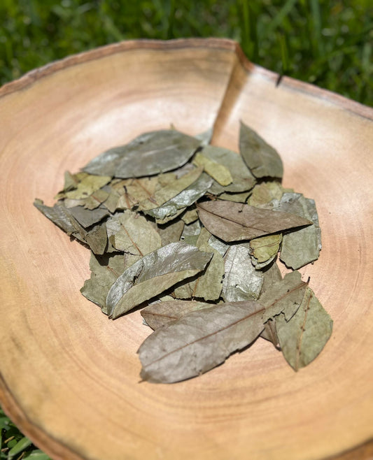Whole dried soursop leaves, Annona muricata, hojas de guanabana, for tea