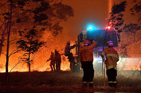 Australian Fires have Killed over a Billion Animals, Hundreds of Billions of Insects and Pushed 100 Endangered Species to the Brink of Extinction