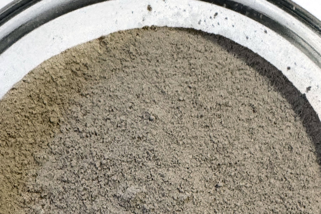 Wildcrafted Irish sea moss powder, finely milled Chondrus crispus, in a glass dish