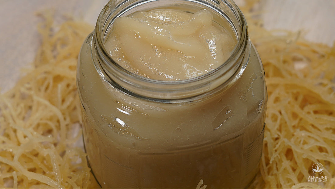 Glass jar sitting on Sea Moss with Sea Moss Gel