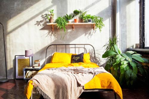 5 of the Science-Backed Plants To Keep In Your Bedroom And Home for Optimal Health