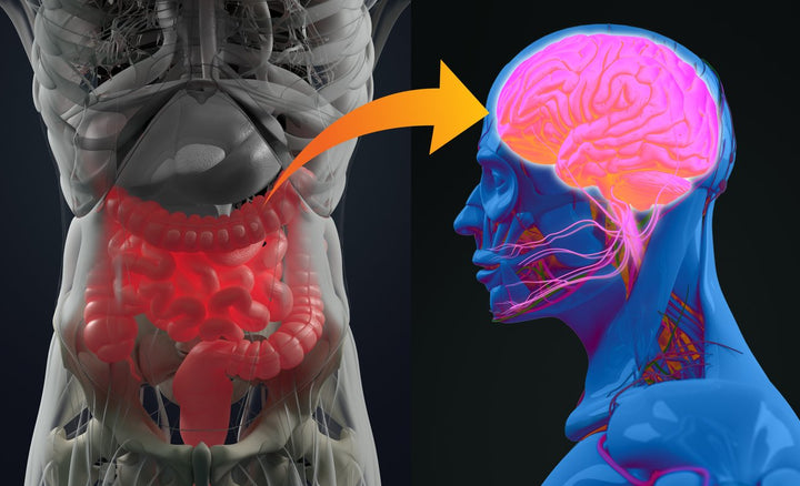 Evidence Mounts Linking Gut Bacteria to Your Mind and Mood