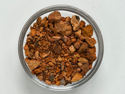 Just Herbs: Cinchona Bark