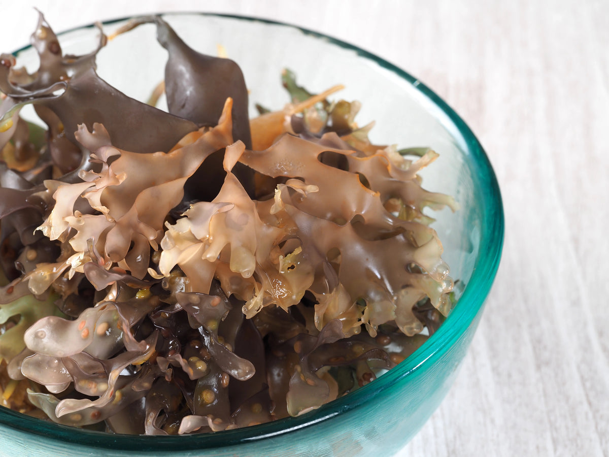 Ingredients We Leave Out of Our Raw Sea Moss