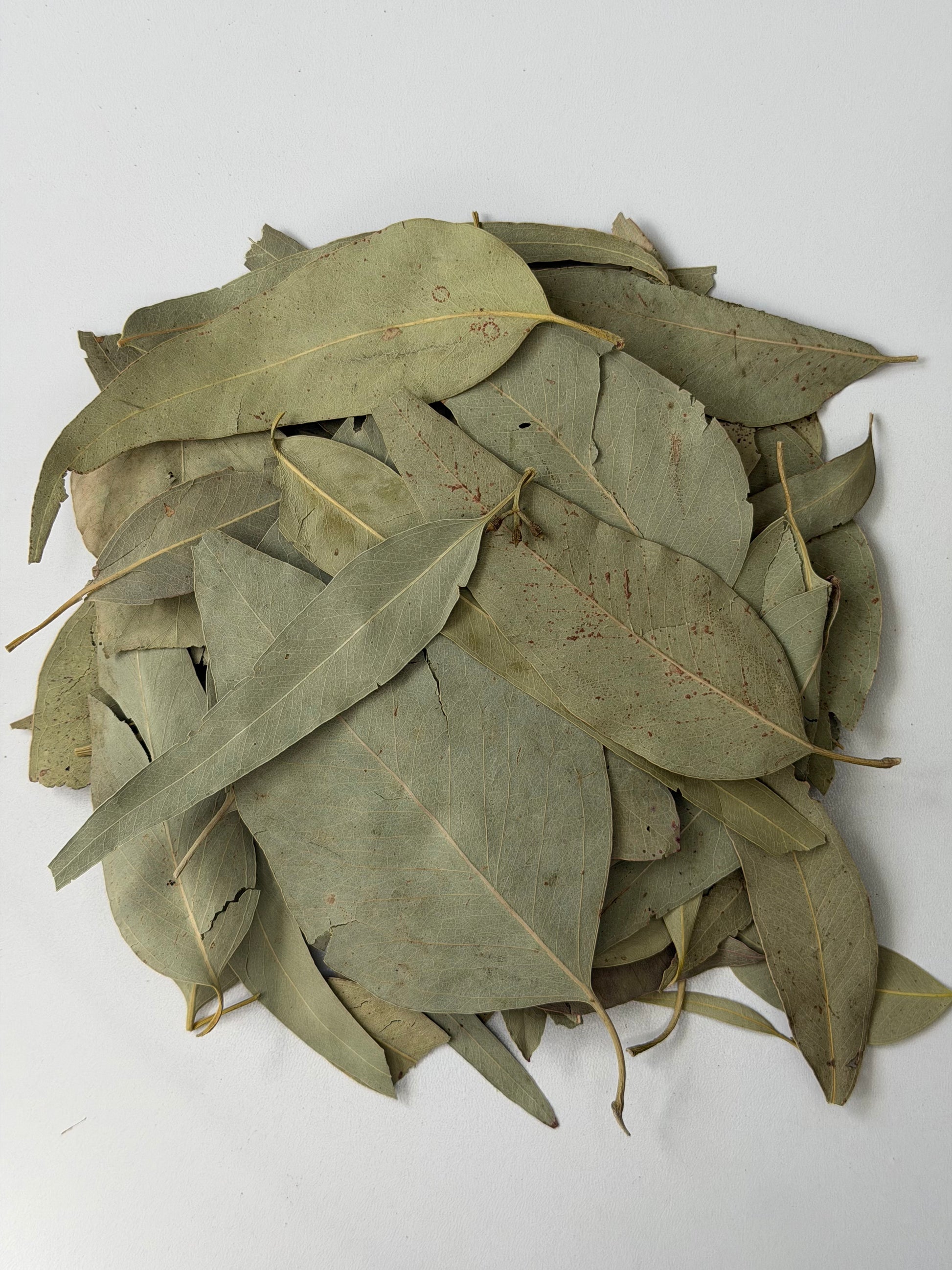 Just Herbs: Eucalyptus Leaves Whole