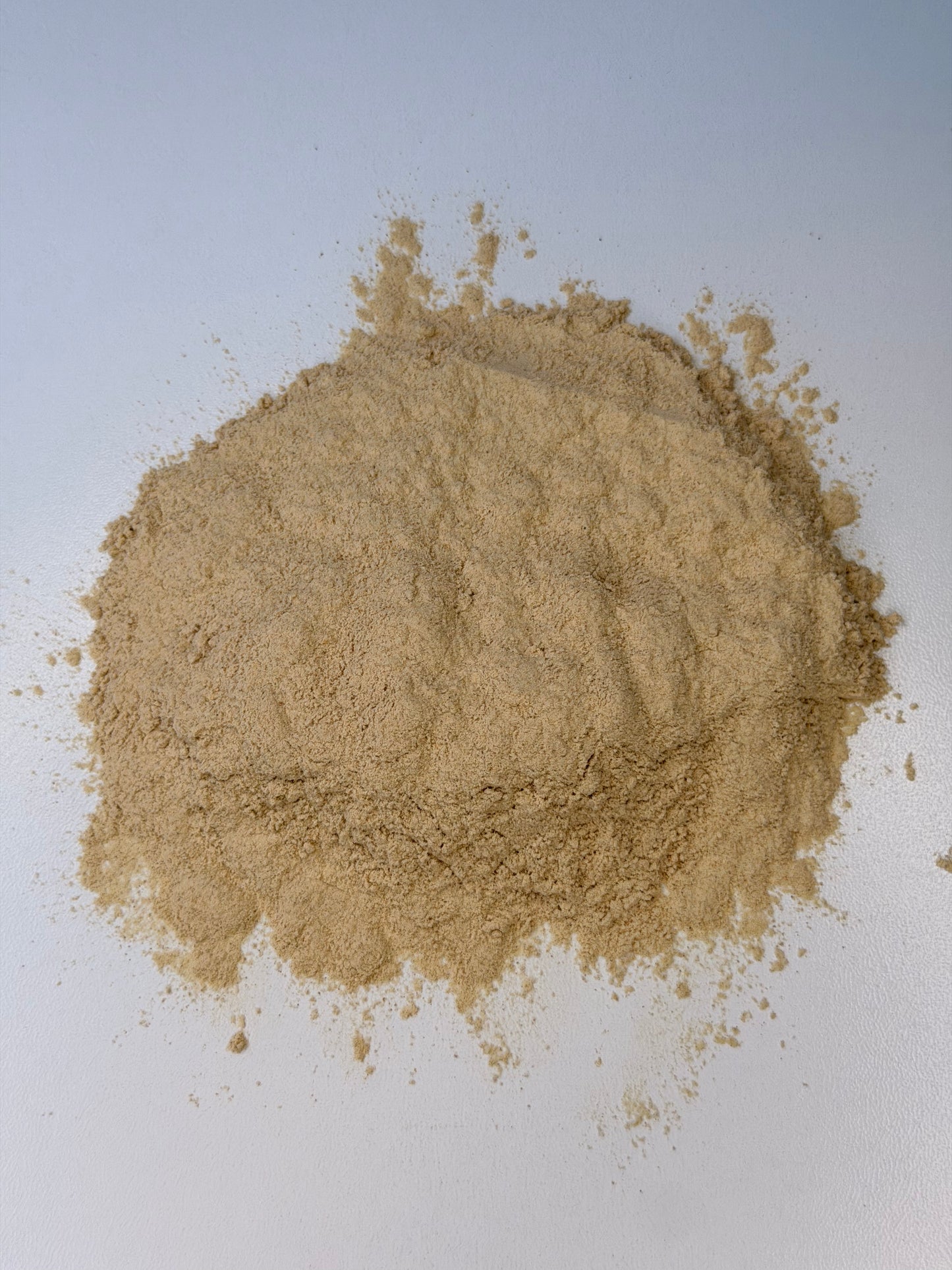 Just Herbs: Lion's Mane Powder