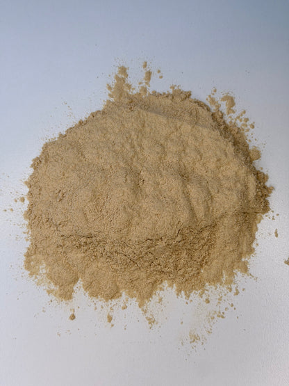 Just Herbs: Lion's Mane Powder