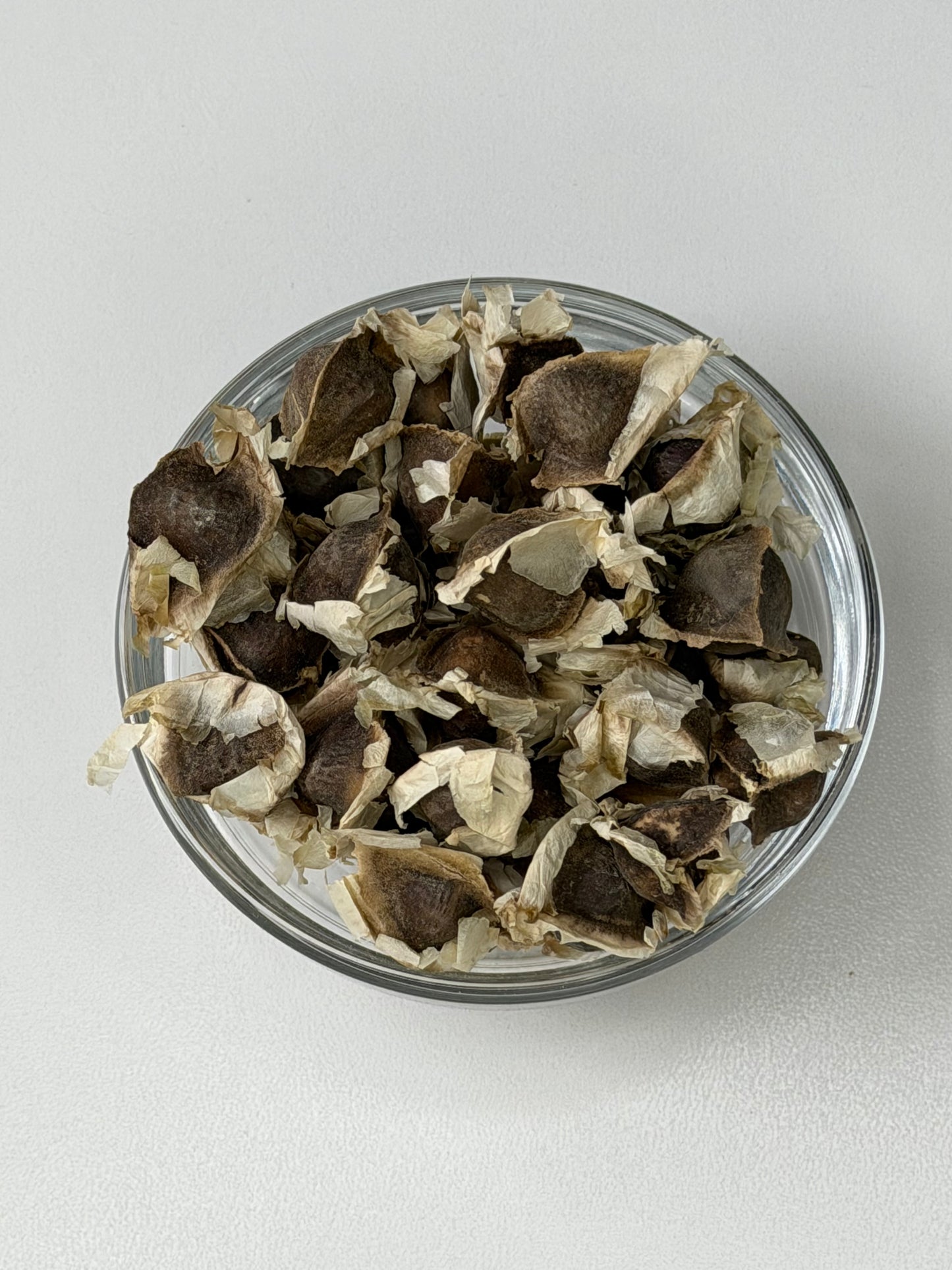 Just Herbs: Moringa Seeds