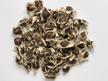 Just Herbs: Moringa Seeds