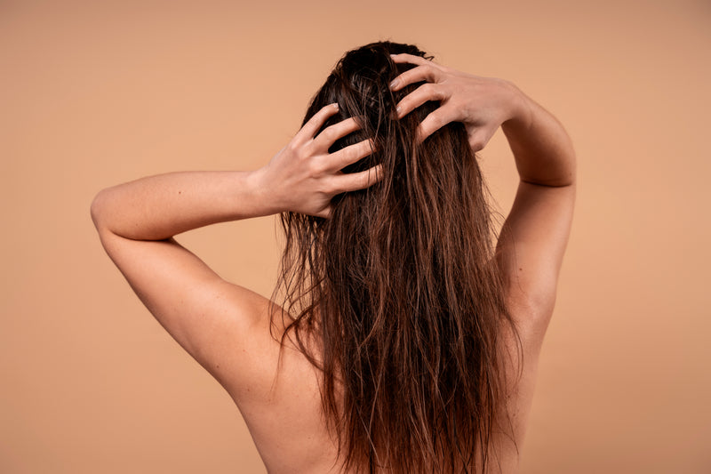 Sea Moss Benefits for Hair: Nature's Secret for Healthier Locks