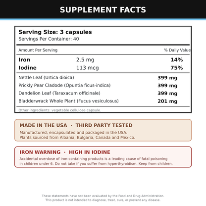 The Supplement Facts panel for the Plant Power chlorophyll supplement, exactly as printed on the label, with the full ingredient list, the country of origin and the warnings