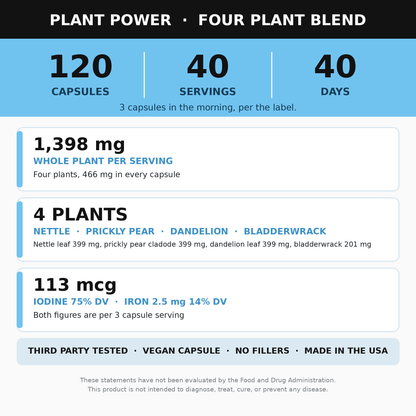 What is in every capsule of the Plant Power chlorophyll supplement: the serving size, what each serving delivers, and how many capsules and servings are in one tube